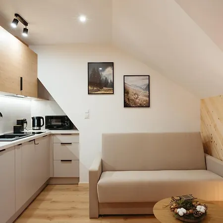 Apartament Novopolka