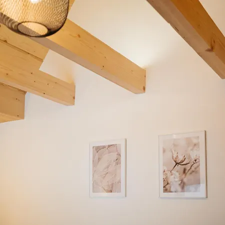 Novopolka *