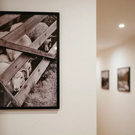 Novopolka Appartement